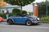 DSC_0264.jpg