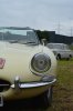 DSC_0562.jpg