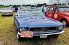 DSC08491.jpg