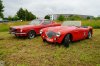 DSC08498.jpg